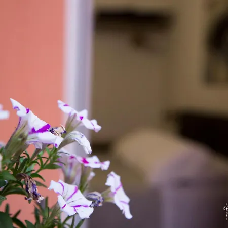 Bianca's בית הארחה טרני